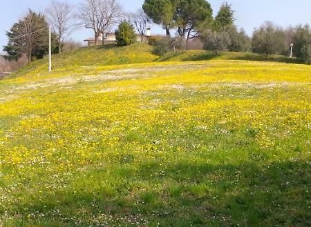 Paglia E Fieno Bed & Breakfast Villaga Exterior photo